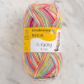 SMC Regia 4-Ply 50gr Color Sock Yarn, Variegated - 01132
