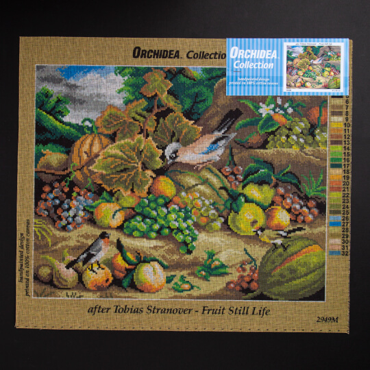 ORCHİDEA 40 x 50 cm Doğadaki Meyveler Baskılı Goblen 2949M